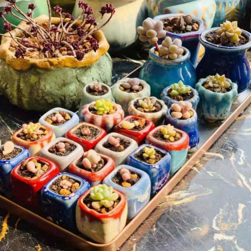 Mini vasos de flores fofos de cores e formas aleatórias