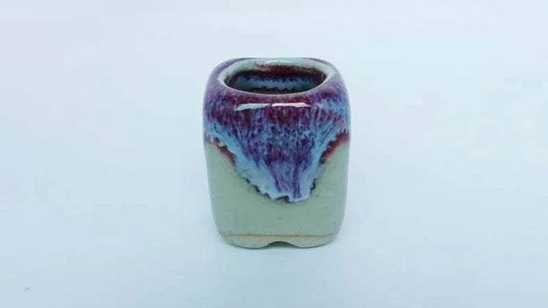 Mini vasos de flores fofos de cores e formas aleatórias